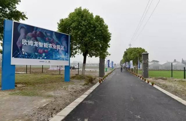 歐姆龍集團農(nóng)業(yè)園大棚恒溫項目