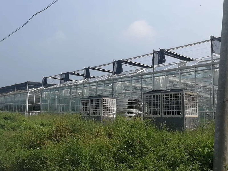 蝴蝶蘭溫室種植大棚采暖系統(tǒng)